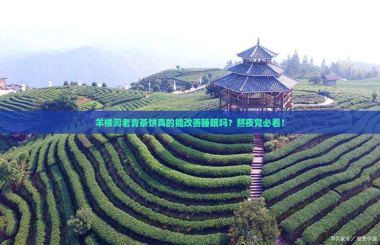 羊楼洞老青茶饼