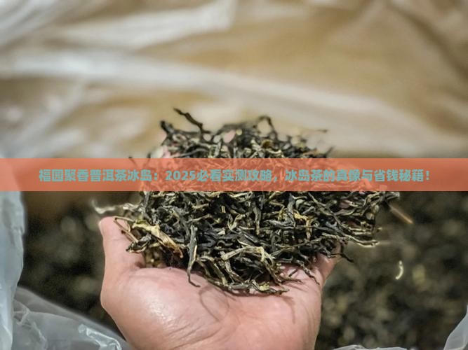 福园聚香普洱茶冰岛