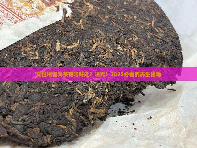 女性喝普洱茶有好处嘛