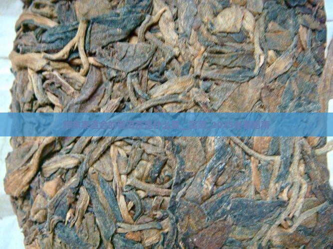 胖东来适合的普洱茶是什么茶