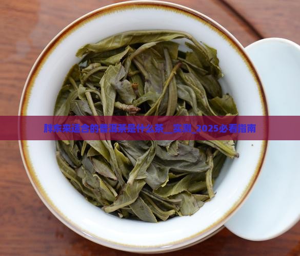 胖东来适合的普洱茶是什么茶