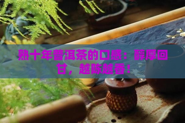 熟十年普洱茶的口感