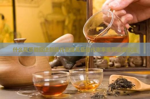 喝什么茶能提高基础代谢率
