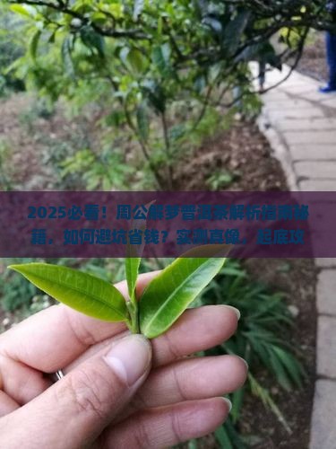 周公解梦普洱茶