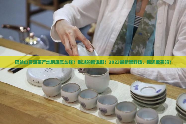 巴达山普洱茶产地