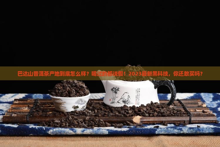 巴达山普洱茶产地