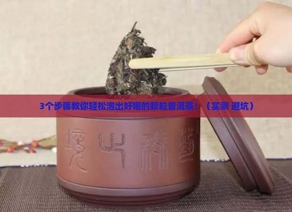 颗粒普洱茶怎么样使用