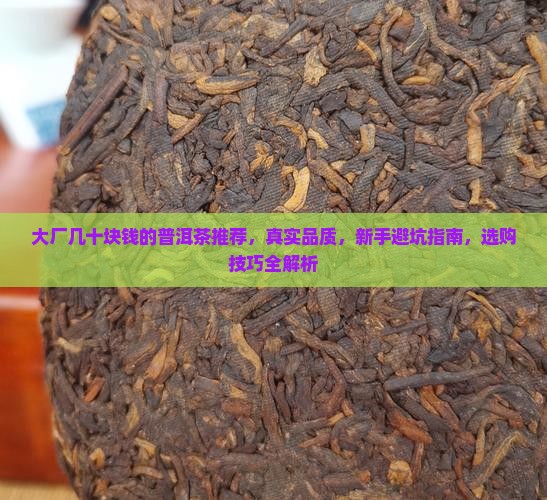大厂几十块钱的普洱茶推荐