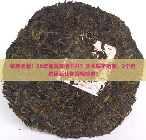 普洱茶20年为什么泡不开