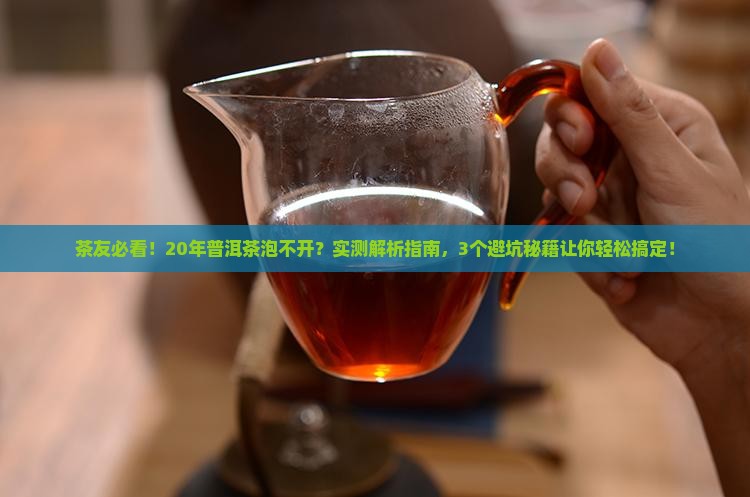 普洱茶20年为什么泡不开