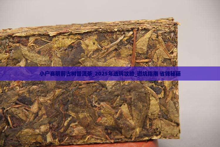 小户赛明前古树普洱茶