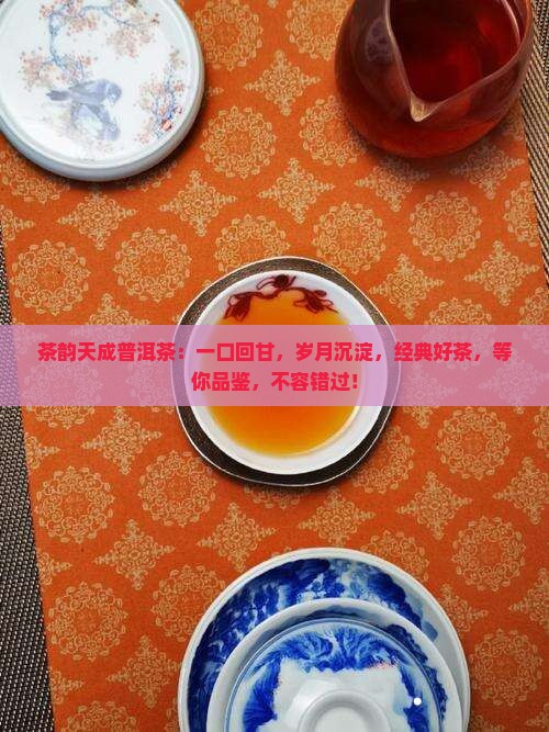 茶韵天成普洱茶