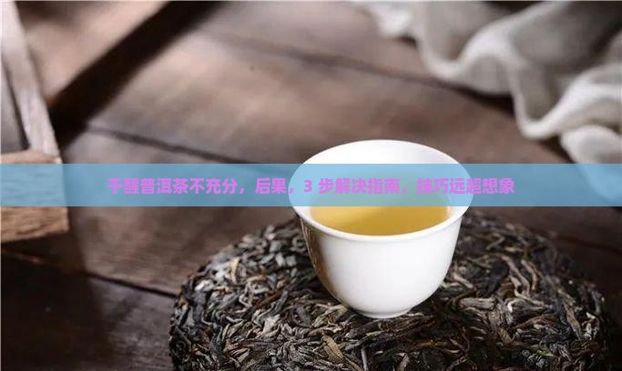 干醒普洱茶不充分