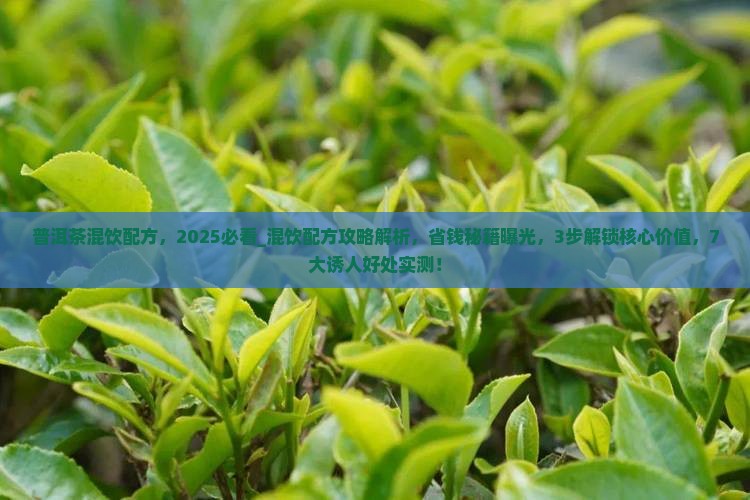 普洱茶混饮配方