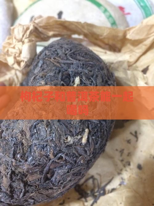 枸杞子和普洱茶能一起喝吗