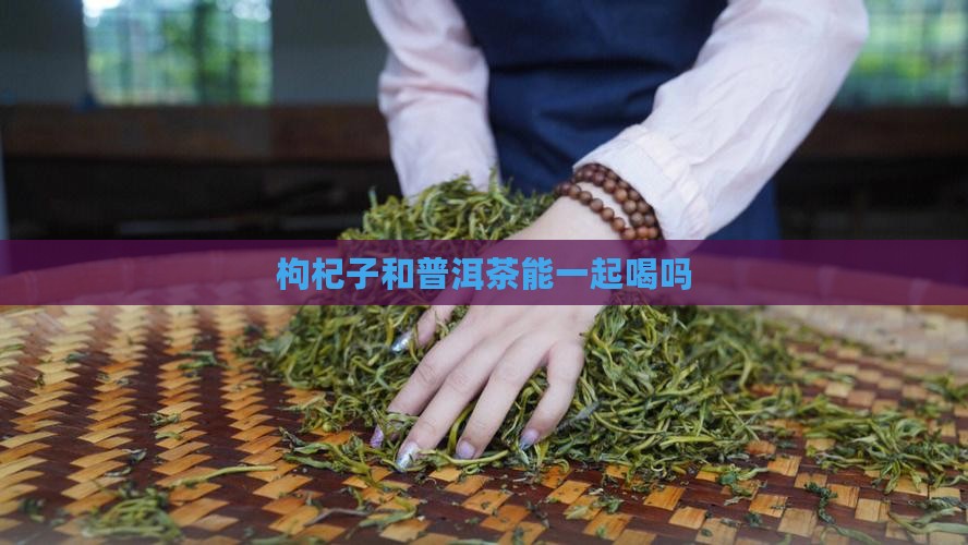 枸杞子和普洱茶能一起喝吗