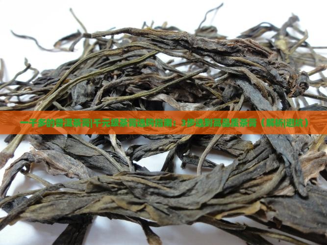 一千多的普洱茶膏