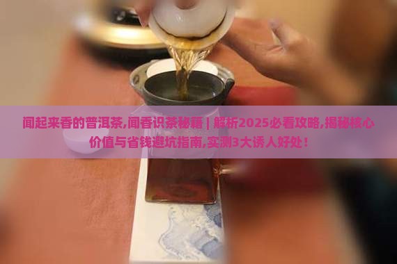 闻起来香的普洱茶