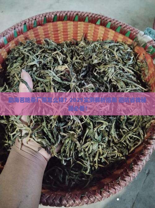 勐海茗艳茶厂的茶好吗