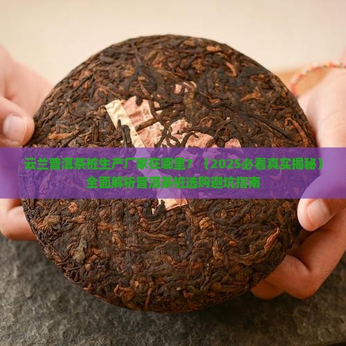 云兰普洱茶桩生产厂家在哪里