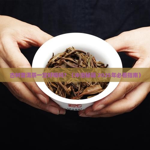古树普洱茶一定好喝吗怎么泡 古树普洱茶一定好喝吗怎么泡