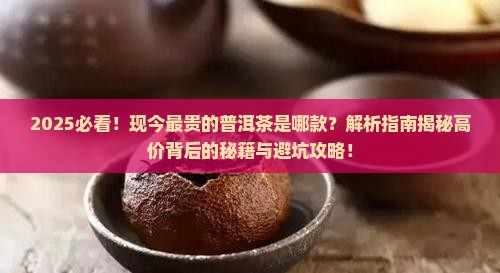 现今最贵的普洱茶