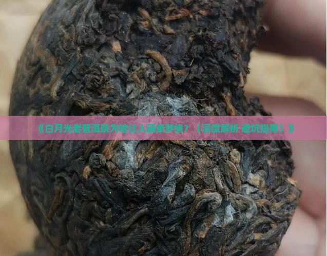 白月光老普洱茶