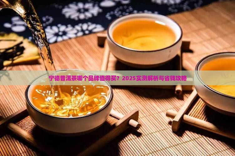 宁德普洱茶推荐哪个品牌