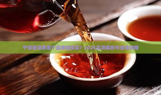 宁德普洱茶推荐哪个品牌
