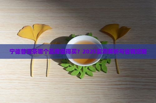 宁德普洱茶推荐哪个品牌