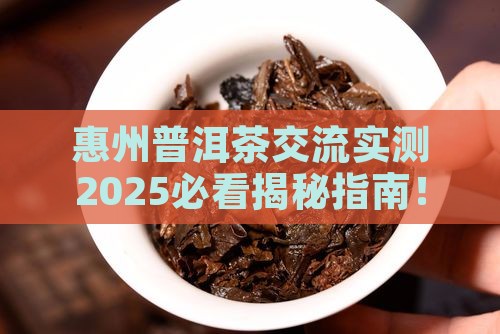 惠州普洱茶交流