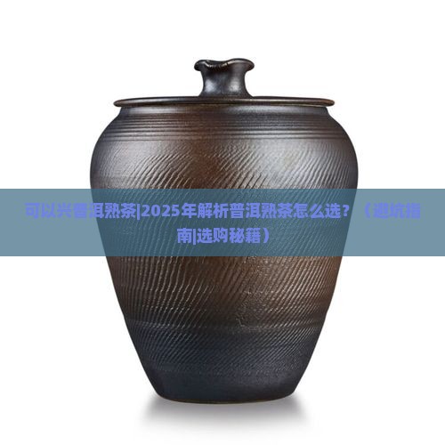 可以兴普洱熟茶