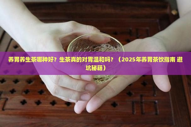 养胃的养生茶有哪些生茶对胃好吗
