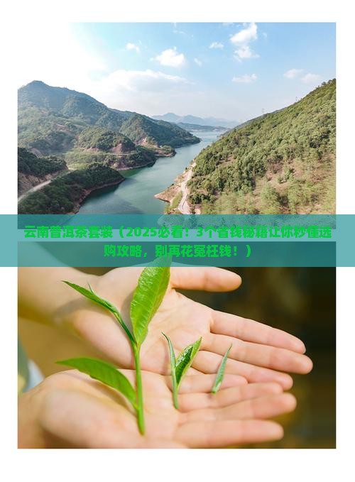 云南普洱茶套装