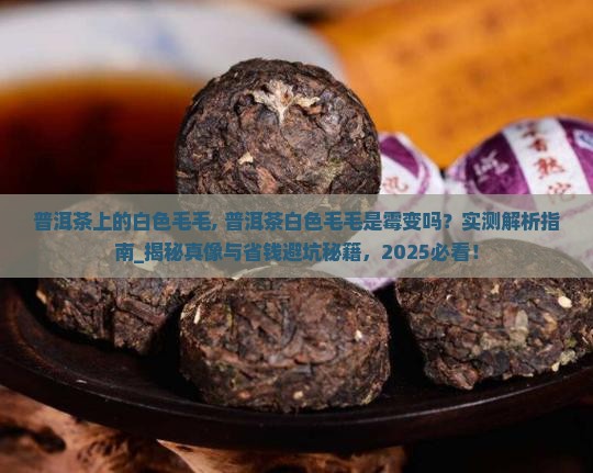 普洱茶上的白色毛毛