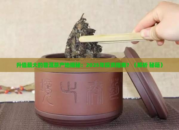 升值最大的普洱茶产地