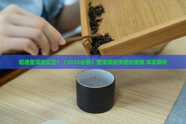 昭通普洱茶交流