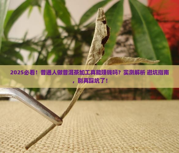普洱茶加盟能挣到钱吗吗