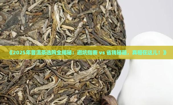 要怎么买普洱茶才好呢
