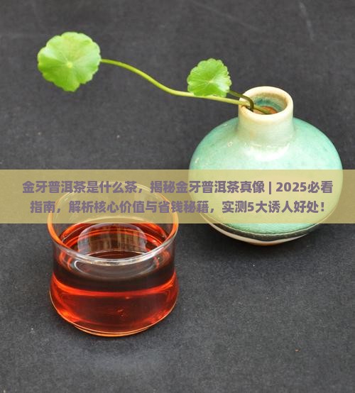 金牙普洱茶是什么茶