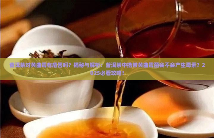 普洱茶对黄曲霉有危害吗