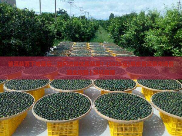 普洱茶落下帷幕