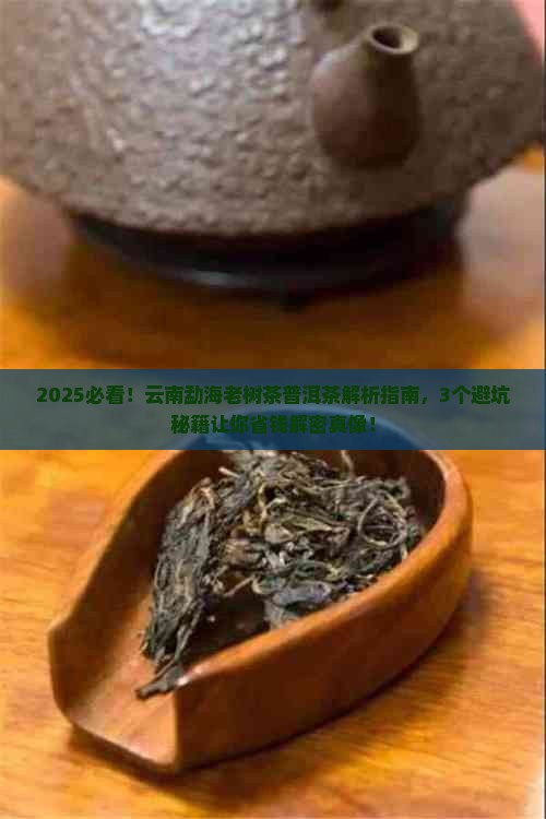 云南勐海老树茶普洱茶
