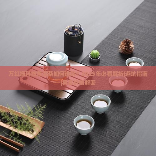 万红扬科技普洱茶如何