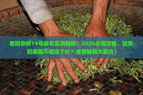老班章村19号茶农