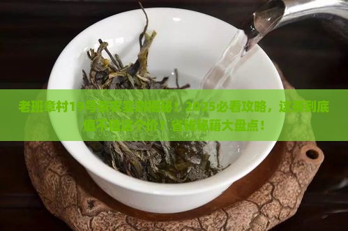 老班章村19号茶农