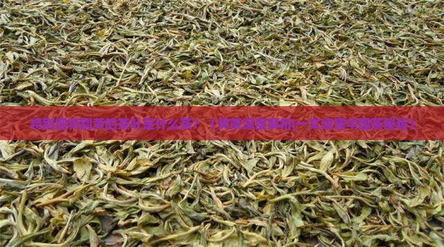 特别细特别黄的茶叶是什么茶