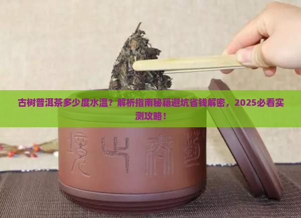 古树普洱茶多少度水温 古树普洱茶多少度水温