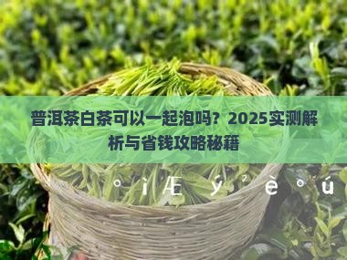 普洱熟茶和白茶可以一起泡吗