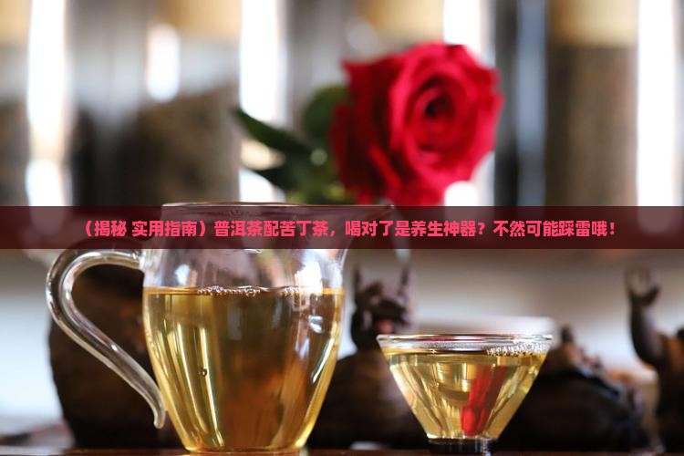 普洱茶加苦丁茶